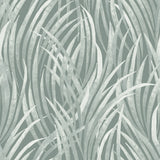 Adelia Tall Grass Green textured vinyl wallpaper roll with flowing grass pattern in sage