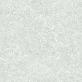 Fern Texture Pink Wallpaper roll showing textured fern motif