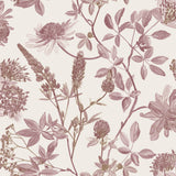 Botanical Blueprint Painterly Branches red floral wallpaper on ecru cream ground, roll size 20.86 in x 33 ft