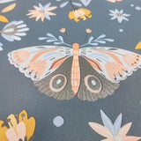 Whimsical Meadow Blue by Veer Decor Kids Wallpaper – Veer Decor VRKG01-185