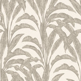 Luxe Tropical Palm beige and cream botanical palm frond wallpaper roll
