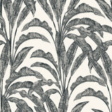 Luxe Tropical Palm gray and cream textured vinyl wallpaper roll with palm fronds pattern