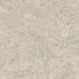 Lustre Stucco Beige textured metallic wallpaper roll and close-ups