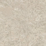 Lustre Stucco Beige textured metallic wallpaper roll and close-ups