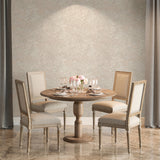 Lustre Stucco Beige by Veer Decor Textured Metallic Wallpaper – Veer Decor VRVE07-766