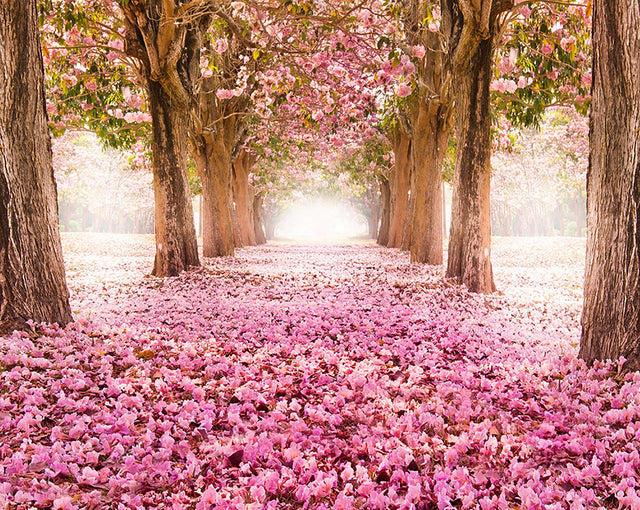 Yonder Pink Scenic Nature Trees Non-Woven Wall Mural - ohpopsi WALS0125