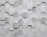 Metal Hexagons Grey Wall Mural with Modern Geometric Hexagon Pattern - ohpopsi WALS0254