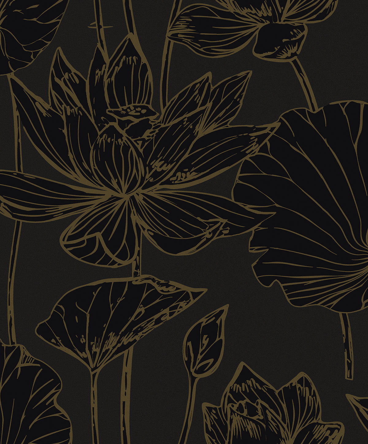 Black espresso wallpaper with metallic bronze outlined floral pattern (Viola Floral).
