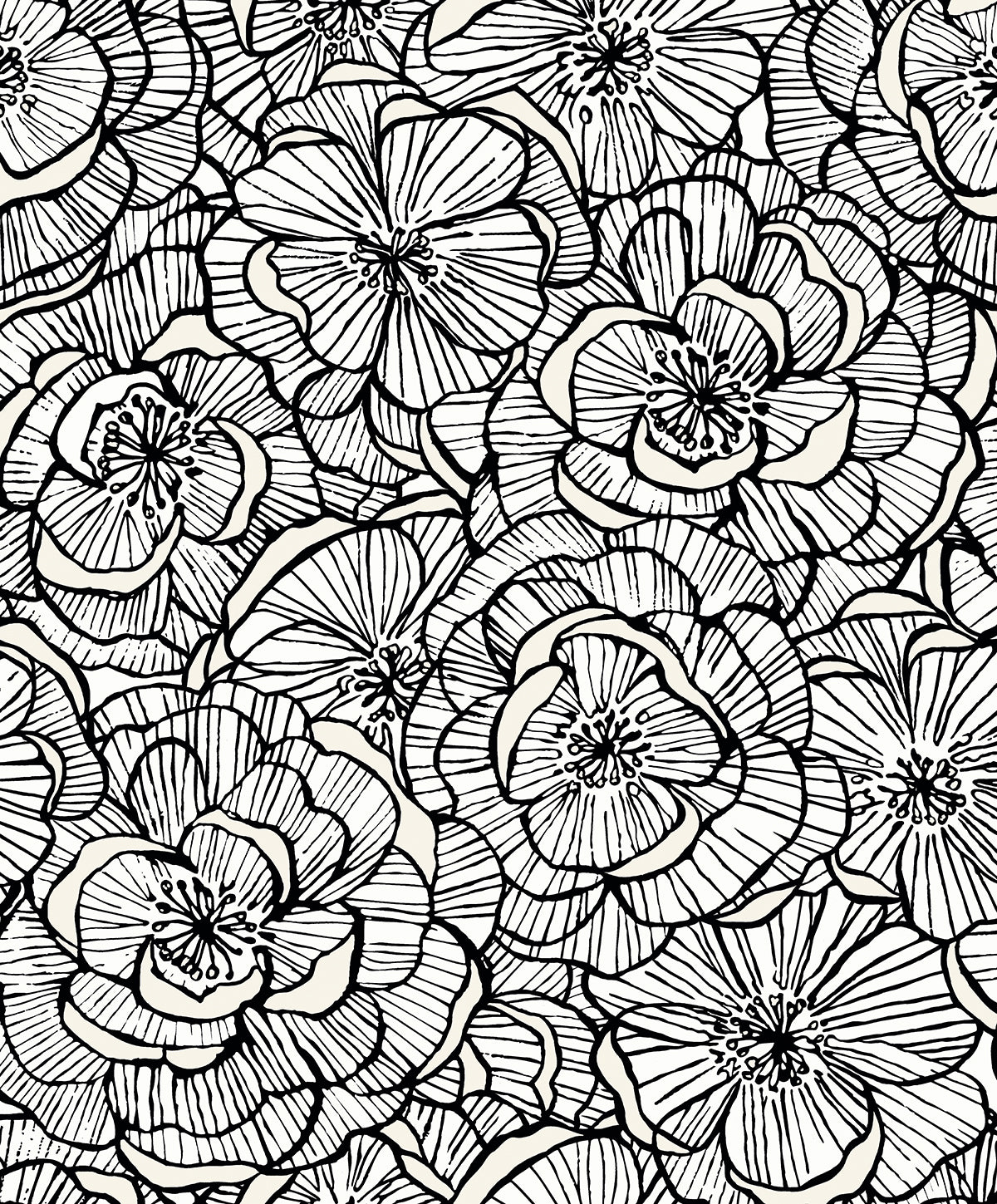 Alejandra Floral wallpaper in Metallic Ivory & Nightfall with large line-drawn floral design
