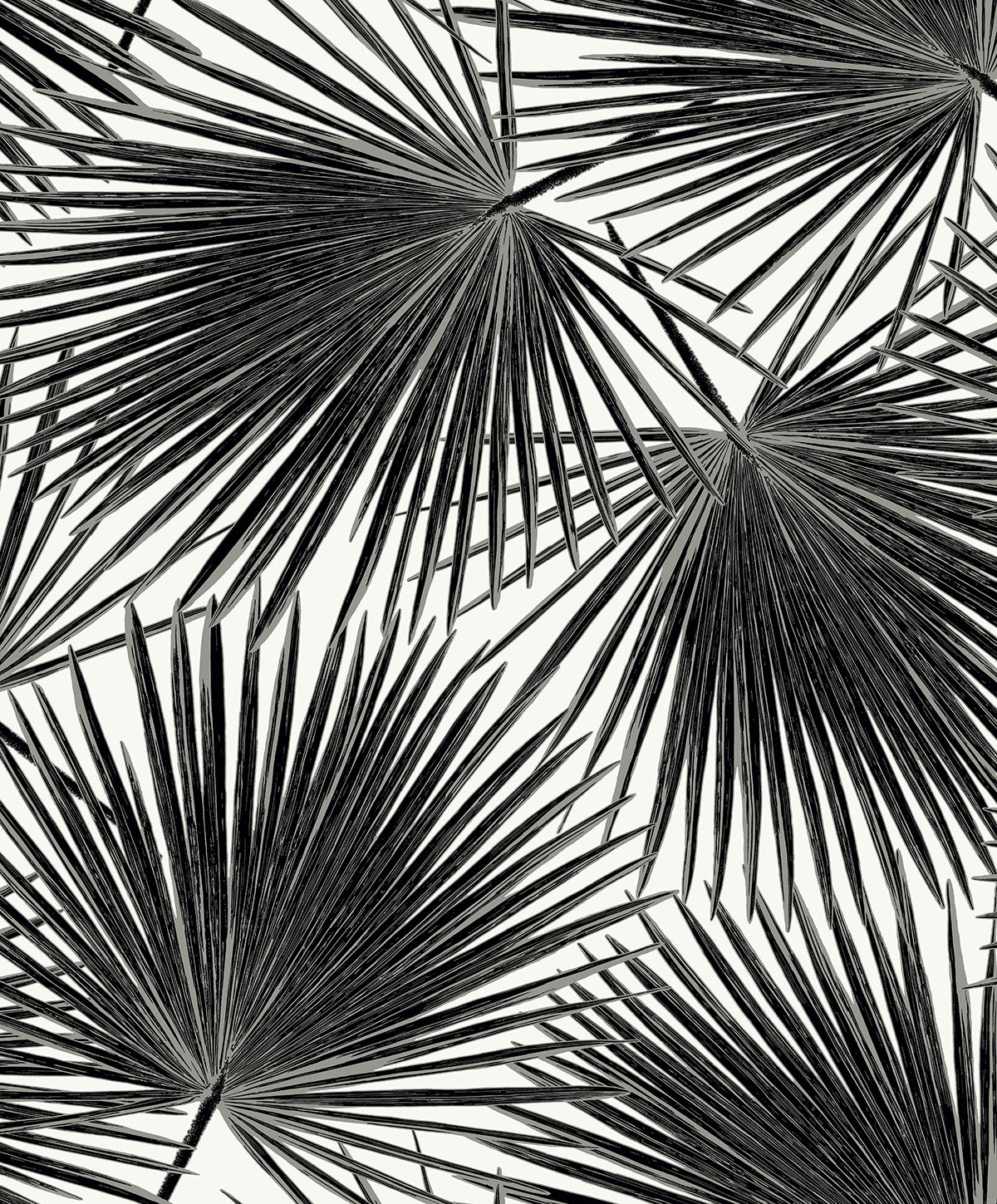 Black palm frond botanical wallpaper on a light background