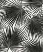 Black palm frond botanical wallpaper on a light background