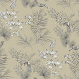 Shelly Grey Toucan Toile Wallpaper with Botanical Tropical Toile Pattern - Brewster WLD53112W