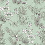 Shelly Mint Toucan Toile Wallpaper with Tropical Botanical Toile Pattern - ohpopsi WLD53113W