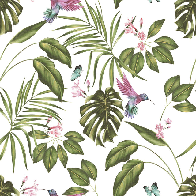 Clivia White Hummingbird Wallpaper with Botanical Hummingbirds & Butterflies  ohpopsi WLD53114W