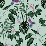 Clivia Mint Hummingbird Wallpaper with Botanical Tropical Birds Motif - ohpopsi WLD53115W
