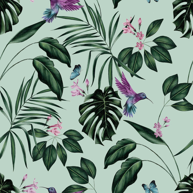 Clivia Mint Hummingbird Wallpaper with Botanical Tropical Birds Motif - ohpopsi WLD53115W