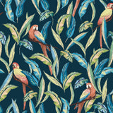 Timor Indigo Parrot Wallpaper with Tropical Botanical Parrot Motif - Brewster WLD53117W