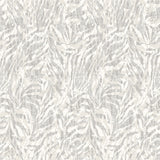 Davy Light Grey Zebra Wallpaper with Modern Animal Print in Non Woven - Brewster WLD53133W