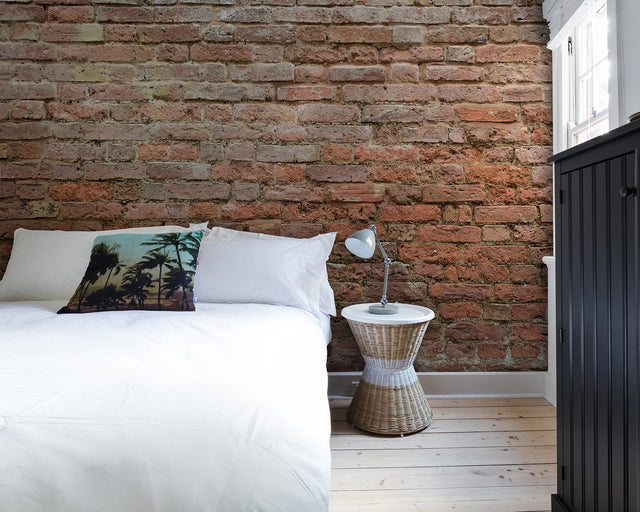 Classic Brick Wall Mural