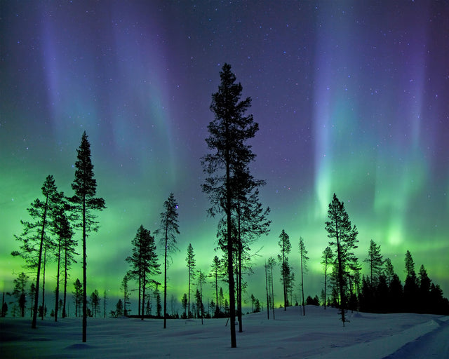 Aurora Borealis/ Northern Lights Wall Mural