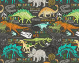 Dinosaurs Brown Graphics Kids Non Woven Wall Mural - Wall Rogues WR50587
