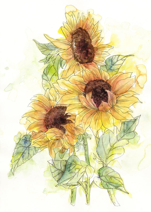 Girasol Sunflower Watercolor Floral Wall Mural - Komar X4-1008