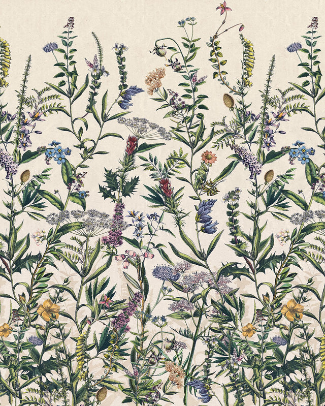 Flowering Herbs Botanical Cream Multicolor Wall Mural with Modern Floral Pattern - Komar X4-1011