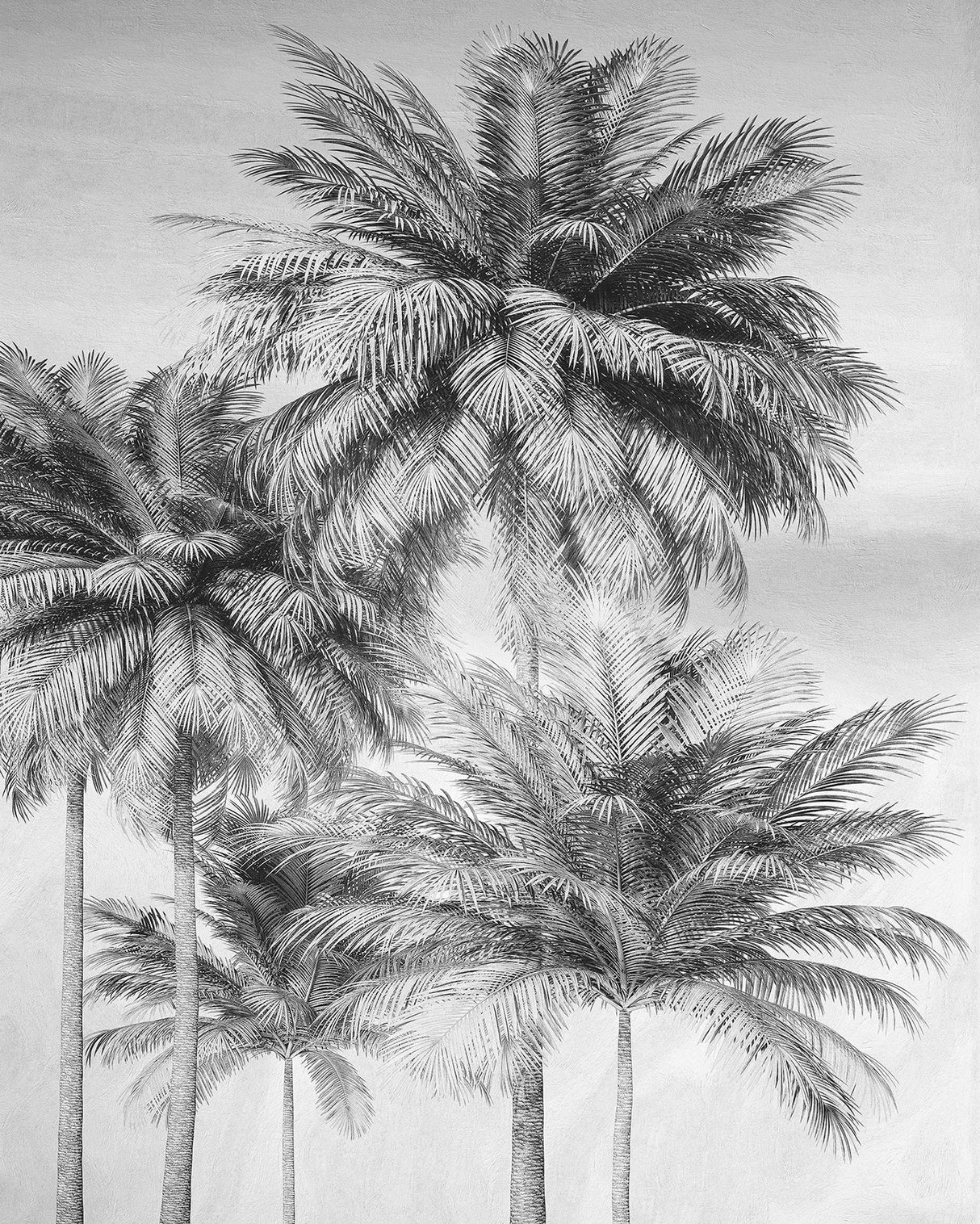 Overcast Palm Greys Wall Mural with Black & White Trees Pattern - Komar X4-1019