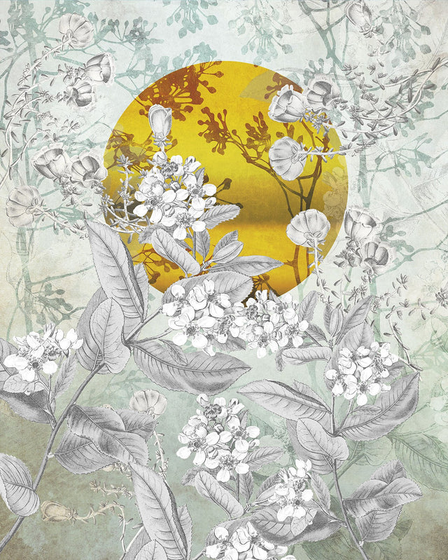 Karma Gray Botanical Flowers Wall Mural with Golden Sun Motif - Komar X4-1020