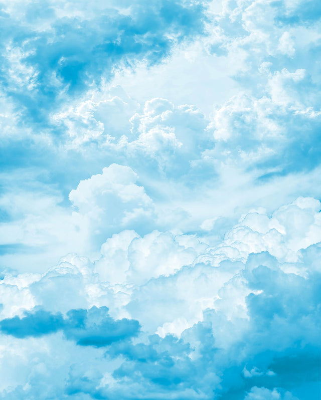 Himmelszelt Blue Clouds Scenic Nature Non-Woven Wall Mural - Komar X4-1026