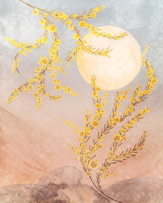 Sol Wall Mural