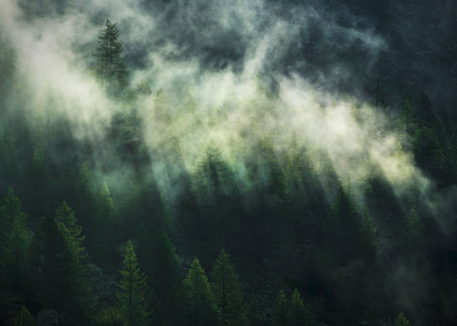 Misty Crowns Green Scenic Clouds Wall Mural - Komar X7-1003