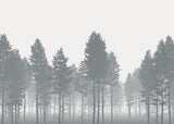 Nebula Gray Trees Non-Woven Wall Mural with Modern Nature Style - Komar X7-1021