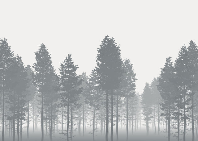 Nebula Gray Trees Non-Woven Wall Mural with Modern Nature Style - Komar X7-1021