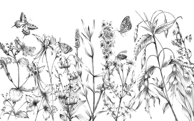 Butterfly Field Black and White Wall Mural with Nature Butterfly Illustration - Komar X8-1085