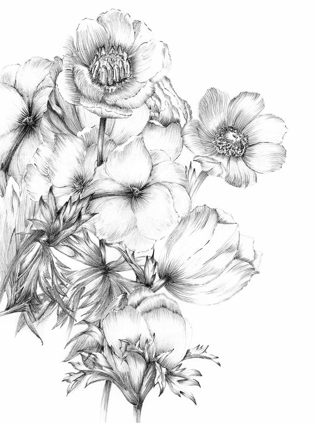 Embroidered Flowers Black & White Non Woven Wall Mural with Floral Sketch Pattern - Komar XXL2-1035