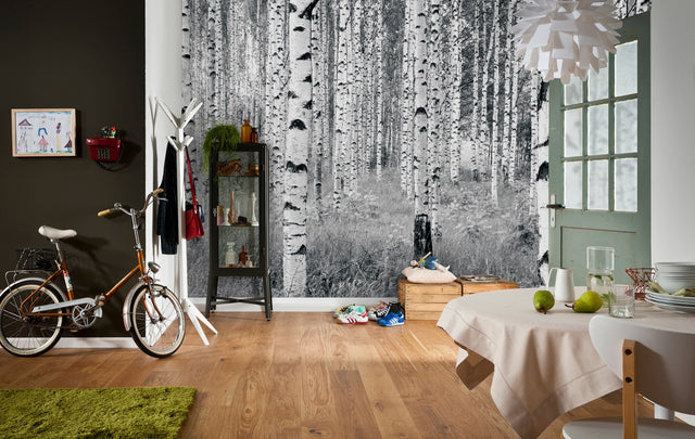 Birch Forest Black & White Trees Non Woven Wall Mural - Komar XXL4-023