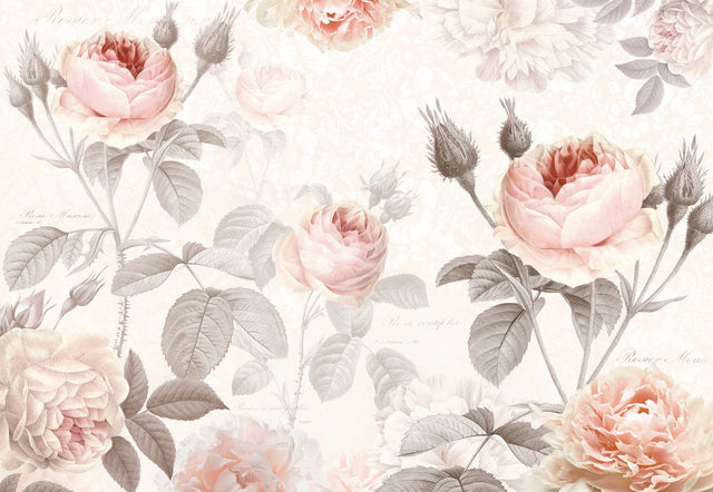 La Maison Pink Floral Wall Mural with Vintage Rose Motif - Komar XXL4-034
