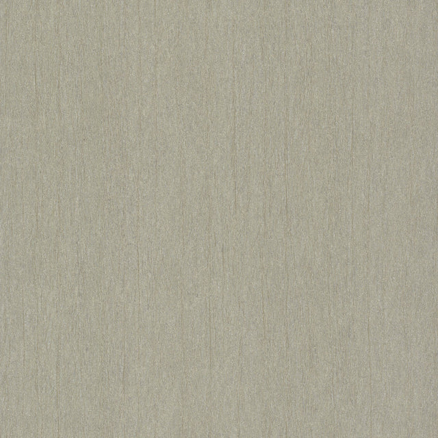 Natural Texture Silver & Brown Metallic Wallpaper with Textured Metallic Finish - York Y6201305