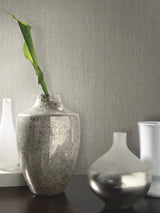 Natural Texture Silver & Brown Metallic Wallpaper with Textured Metallic Finish - York Y6201305