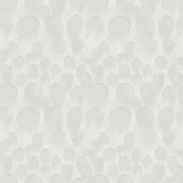 Feathers White Wallpaper with Feather Motif - York Y6230101