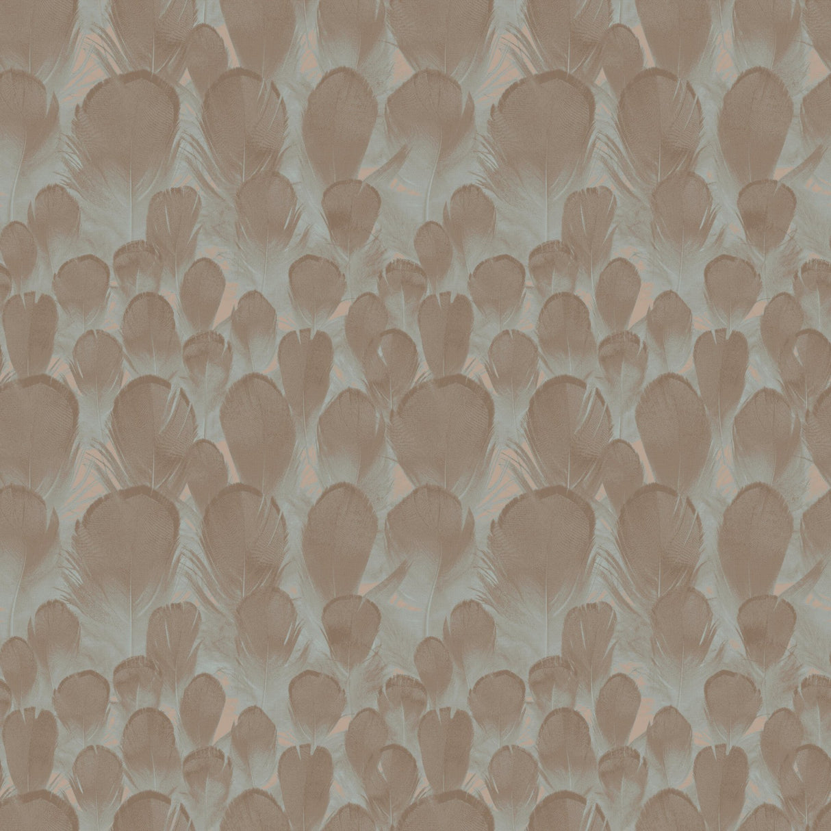 Feathers Brown & Turquoise Wallpaper with Feather Motif - York Y6230104
