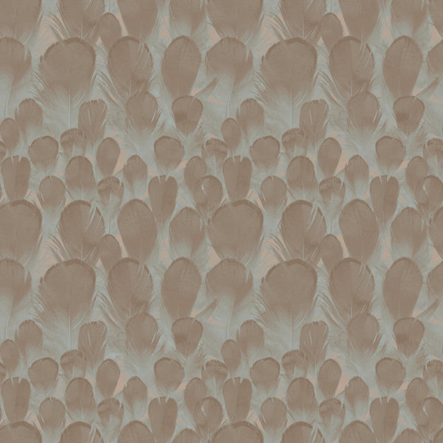 Feathers Brown & Turquoise Wallpaper with Feather Motif - York Y6230104