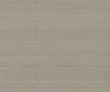 Smooth Abaca Moonstone Wallpaper – Ronald Redding YGL7012