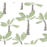 York Wallcoverings Painted Oasis Leaf Green palm tree wallpaper roll, 27 in x 27 ft