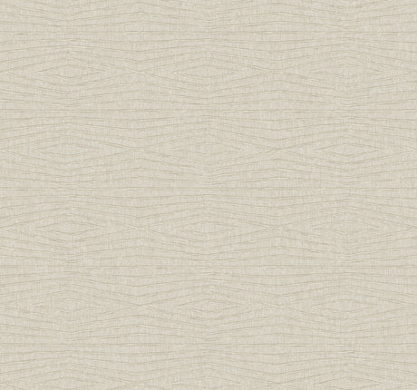 Daystone Taupe Wallpaper ZA8015 by Ronald Redding