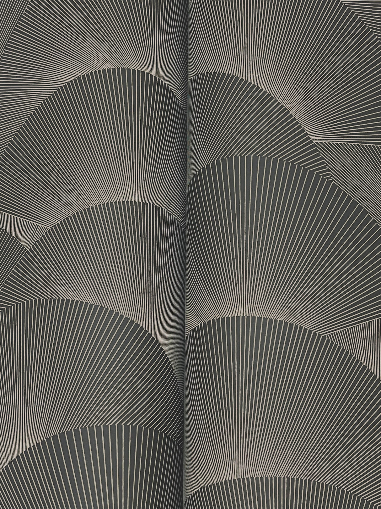 Morning Shell Black & Grey by Ronald Redding Geometric Wallpaper- York Designer Series ZA8022
