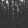 Sakura Blooms Black wall mural with cascading floral branches