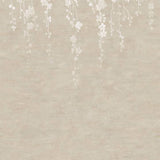 Sakura Blooms Neutral wall mural by Ronald Redding