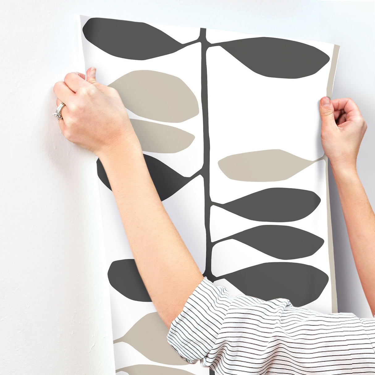 Sculpted Vines Carbon & Linen by York Wallcoverings Botanical Non Woven Wallpaper- York Wallcoverings ZM2804